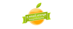 A Small Orange